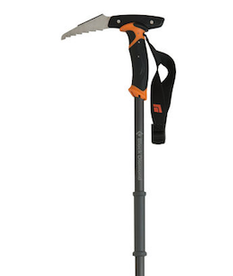 whippet-ski-pole.png