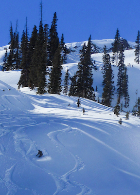 Skier in Red Mountain Pass CO