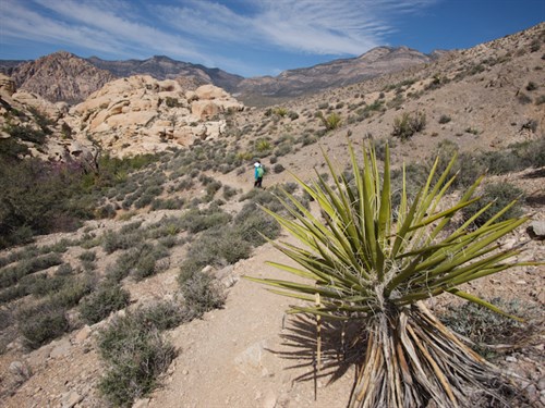 Hiking in Red Rock