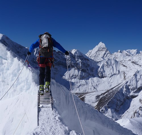 Ladder Crossing