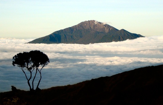 Above the clouds in Africa.