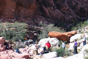 Corporate Team Building - Rock Climbing