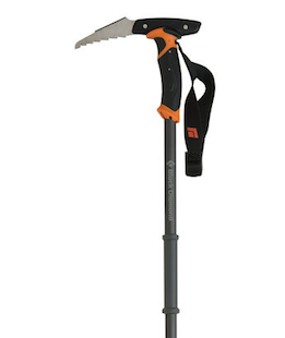 Black Diamond Whippet ski pole