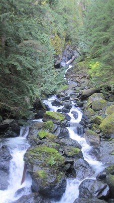 Leave No Trace Nature Waterfall