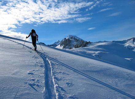 A skier skins uphill in the Mt. Baker backcountry.