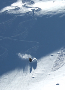 Fresh tracks in the Mt. Baker backcountry.