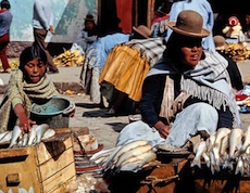Bowler-hatted Aymara women are a common site at Bolivian markets.