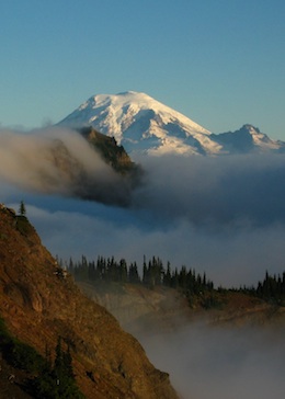 Rainier - Misty