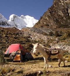 Peru, Alpamayo - Camp