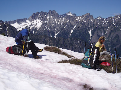 AAI climbers complete Mt. Challenger ascent with guide Dawn Glanc 3 005 Challenger Arm