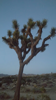 Climbing and Outdoor News from Here and Abroad - 1/3/18 2 0403181930