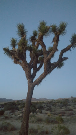 Climbing and Outdoor News from Here and Abroad - 1/26/23 1 0403181930a 2