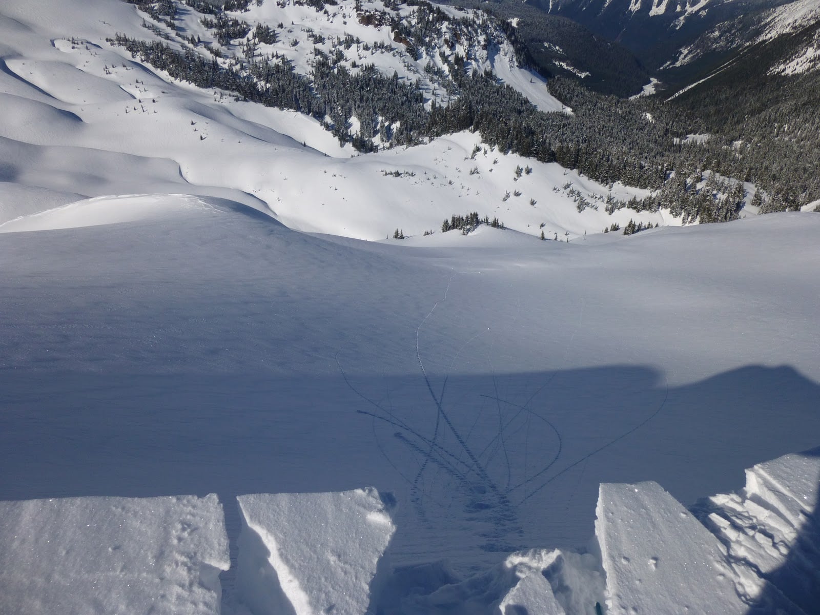 Coleman Pinnacle Ski Tour 5 2 ski