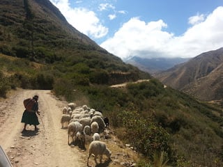2015 Bolivia Part III - Final Dispatch and Photos 11 20150902 113326