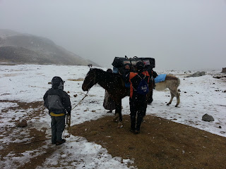 2015 Bolivia Part III - Final Dispatch and Photos 32 20150905 103209