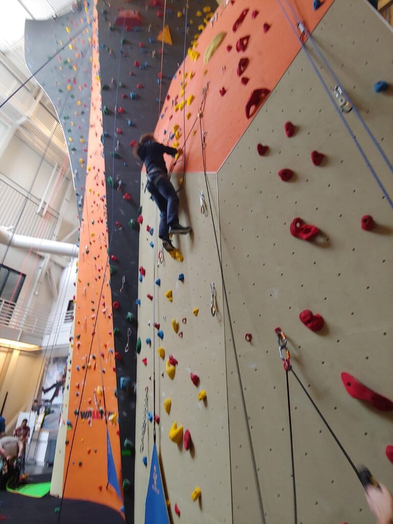 Adaptive Climbing