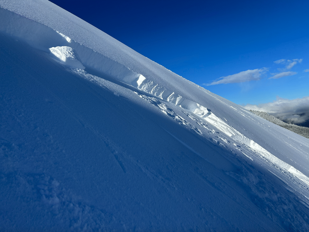 Avalanche Crown
