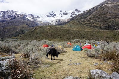 Cordillera Blanca (Peru) Research Expedition 1 DSC00395