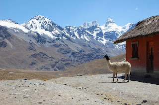 2017 Bolivia Expedition - Part 2 Skills Expedition: Days 9 - 11 - Arrive at Base Camp Chair Khota 1 DSC 0722