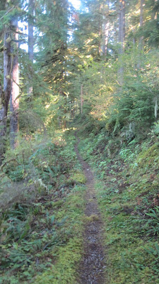 The East Baker Lake Trail 5 East Baker Lake 6