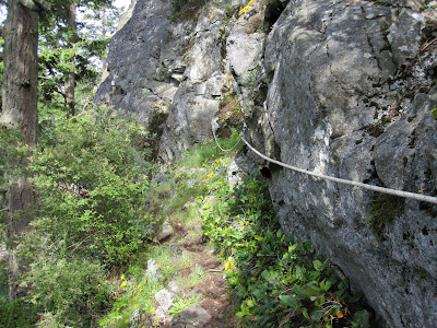 Fixed Line 2