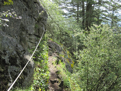Fixed Line 3