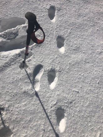 Climbing and Outdoor News from Here and Abroad - 11/12/20 1 Fletcher Mtn Lion 3