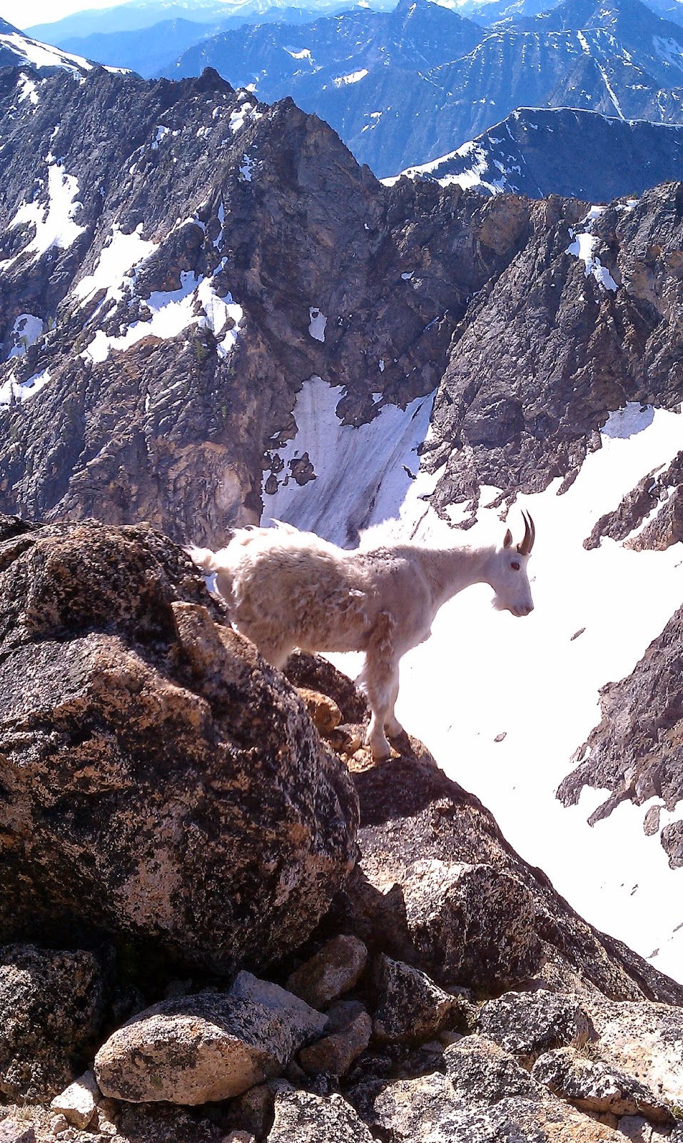 Route Profile: Cutthroat Peak, S. Buttress (5.8, III+) 5 IMAG0031