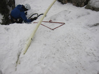 IMG 0115