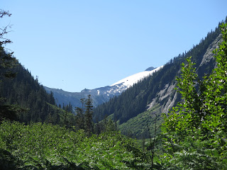 Route Profile: Ruth Mountain Climb 2 IMG 0157