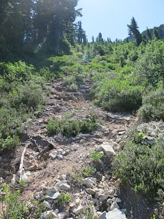 Route Profile: Ruth Mountain Climb 5 IMG 0169