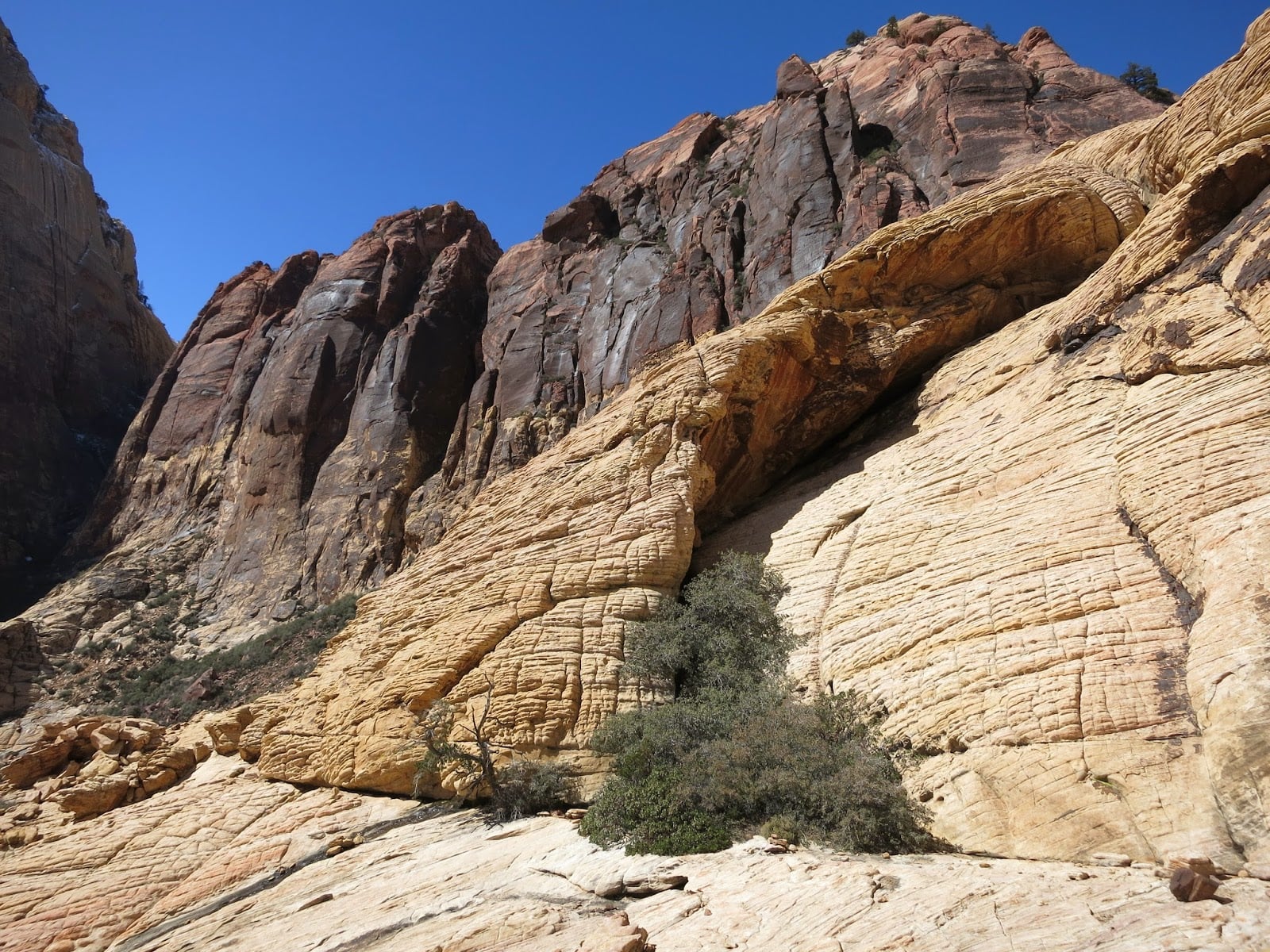 Route Profile: Armatron (5.9) II 1 IMG 0327