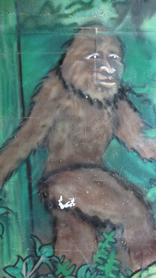 Bigfoot Sightings 2 IMG 2700