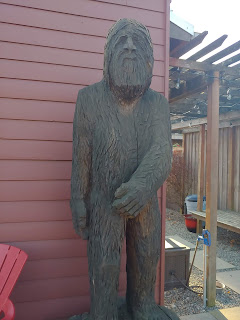 Bigfoot Sightings 10 Kingston Downpour Coffee