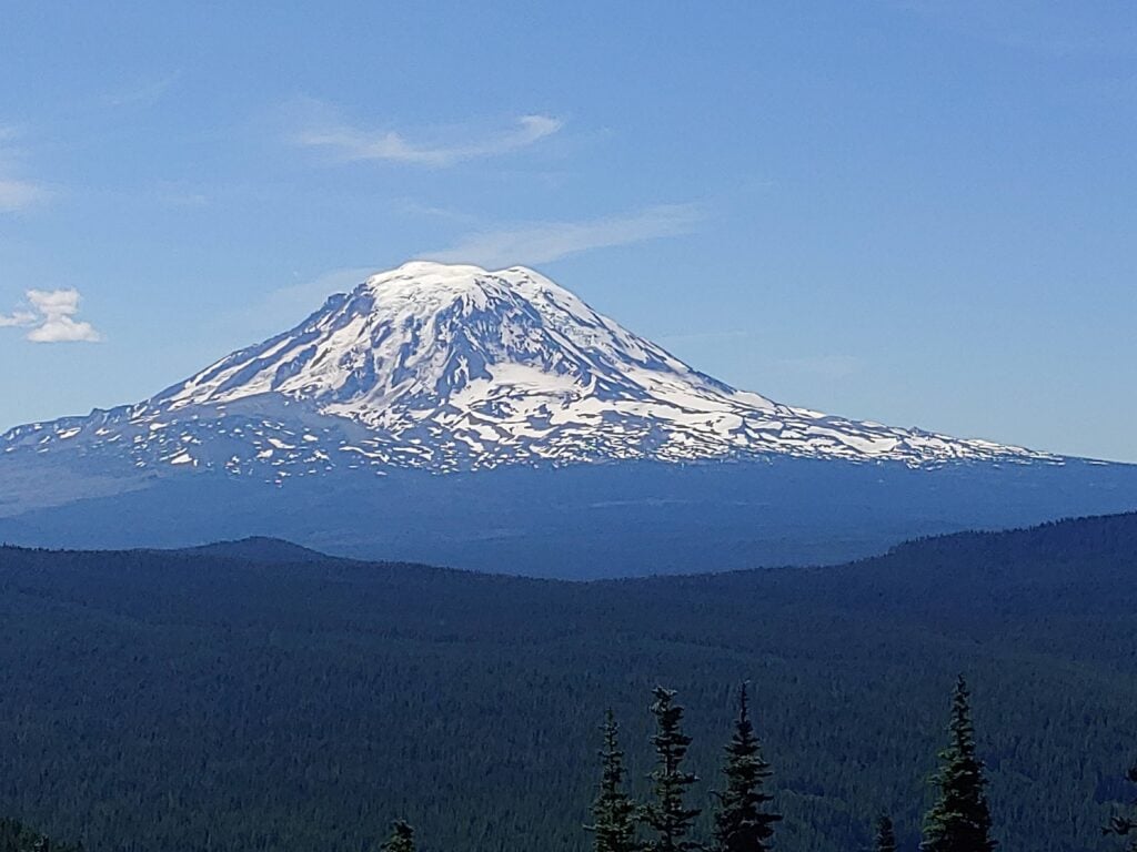 Mt. Adams from PCT