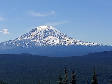 Mt. Adams from PCT
