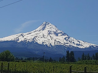 Climbing and Outdoor News from Here and Abroad - 6/2/22 1 MtHood1