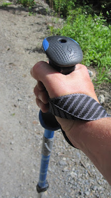 Why Do I Need Trekking Poles...? 2 Ski Pole Thumb 1