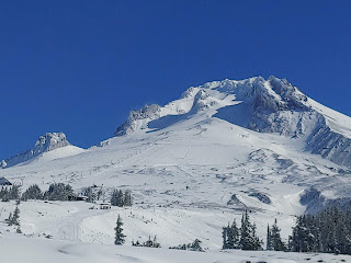 TimberlineHood2