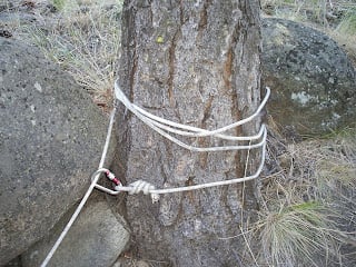 Natural Anchors 2 Tree Wrap