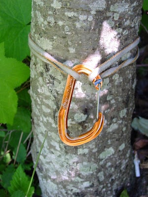 Triaxal Tree