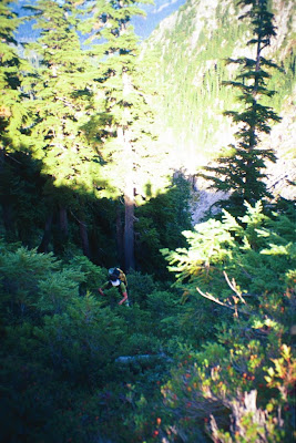 The Cascade Bushwack Rating System 3 Untitled 8 1
