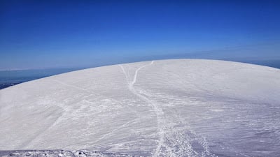 Which Trail