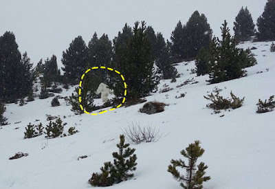 Climbing and Outdoor News from Here and Abroad - 2/11/16 3 Yeti line