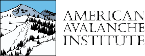 Avalanche Pro 1 Certification Course 1 Avy Institute Logo