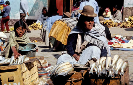 Bowler-hatted Aymara women