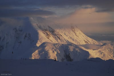 All Eight Denali Teams Summit! 11 den08 taylor3