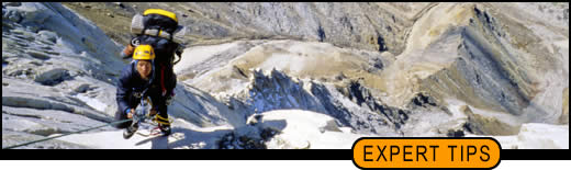 expert tips banner 1
