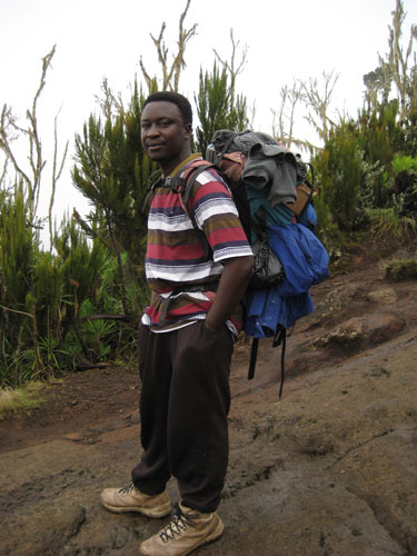 Godfrey, Kili porter