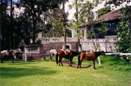 hacienda guachala 1